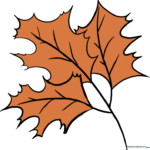 40 Thanksgiving and Fall Drawing Ideas: Easy Step by Step Tutorials