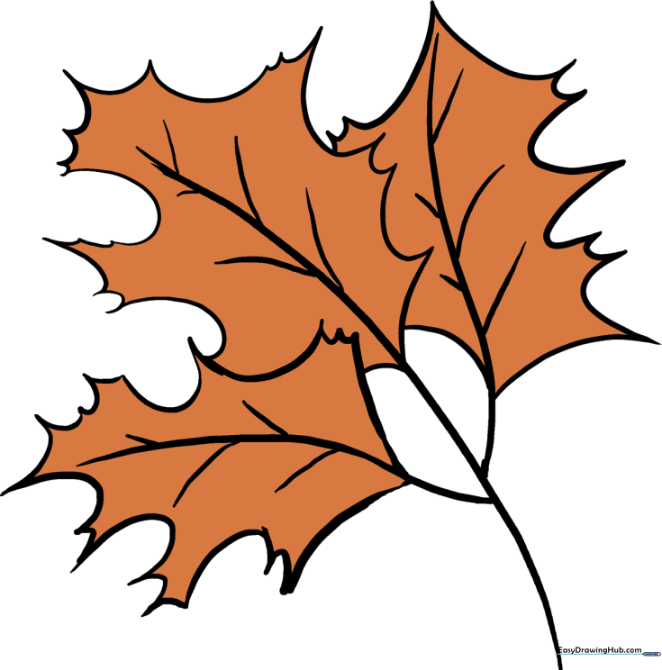 How to Draw Fall Oak Leaves