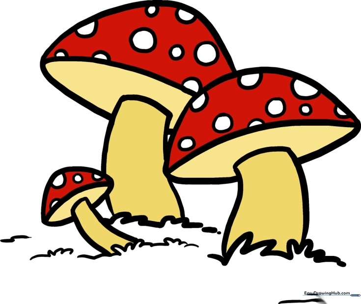 How to Draw a Mushroom
