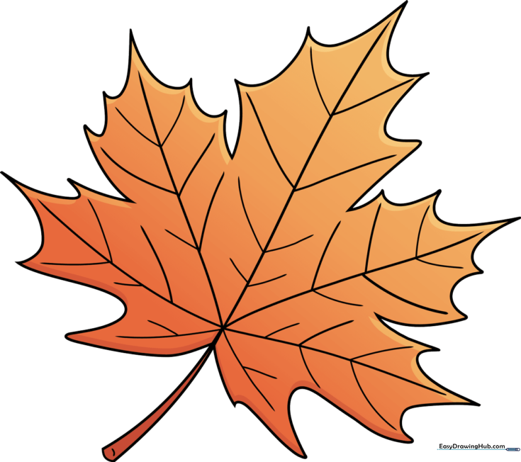 How to Draw a Leaf