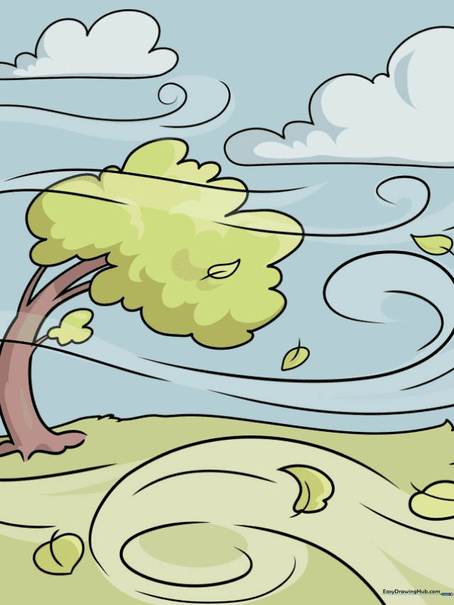 How to Draw the Wind