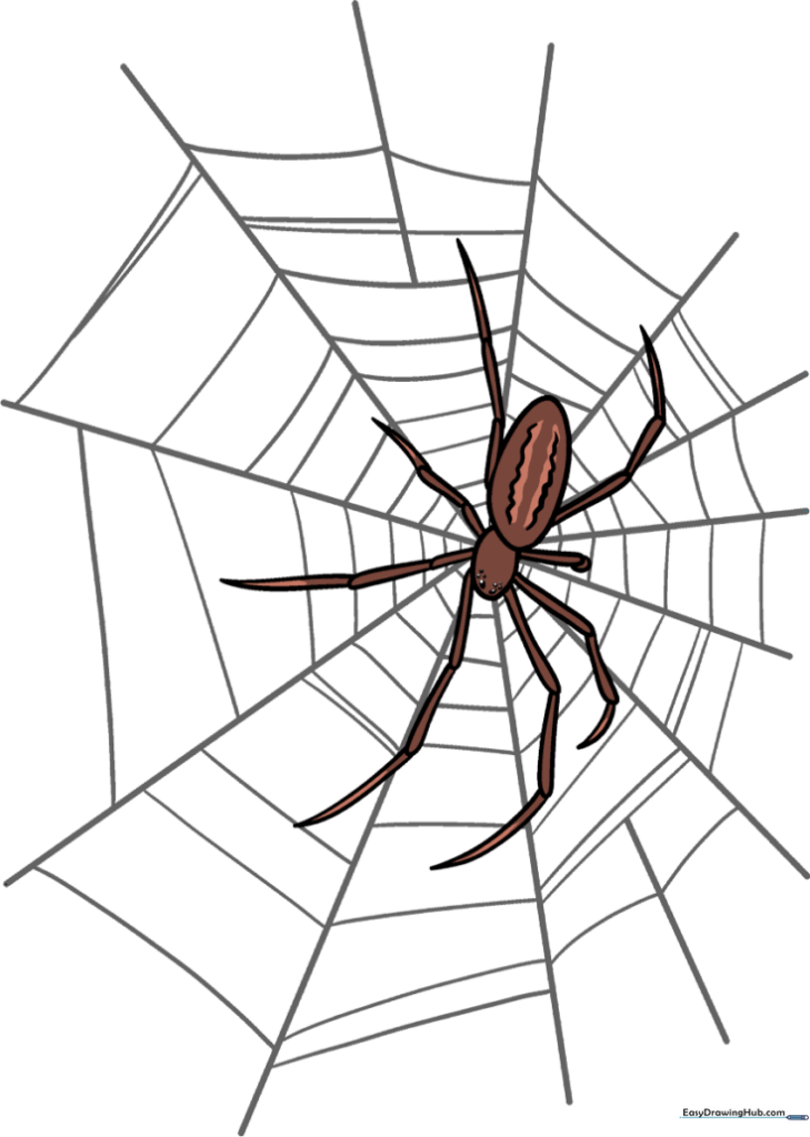 Spider Web with Spider