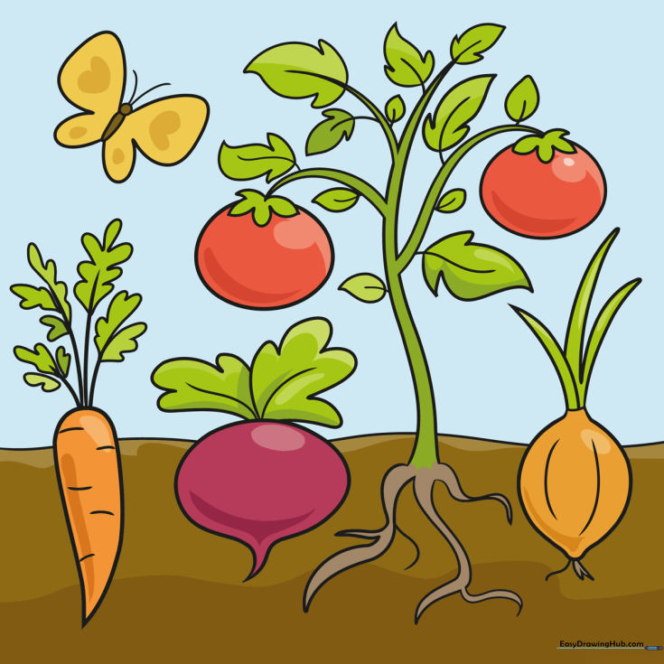 Vegetables
