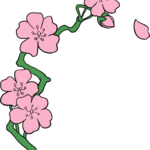 40 Easy Flower Drawing Tutorials