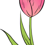40 Easy Flower Drawing Tutorials
