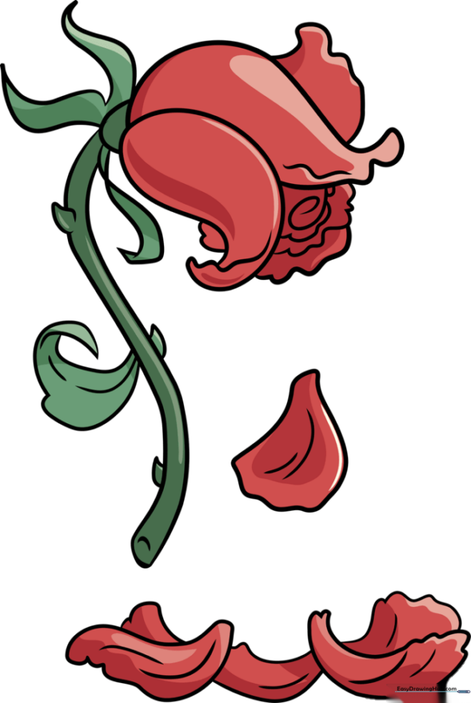 How to Draw a Dead Rose