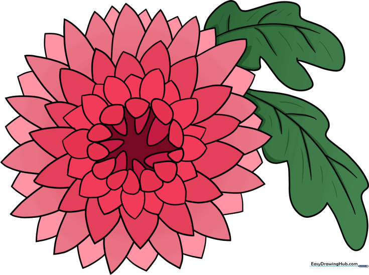 How to Draw a Chrysanthemum