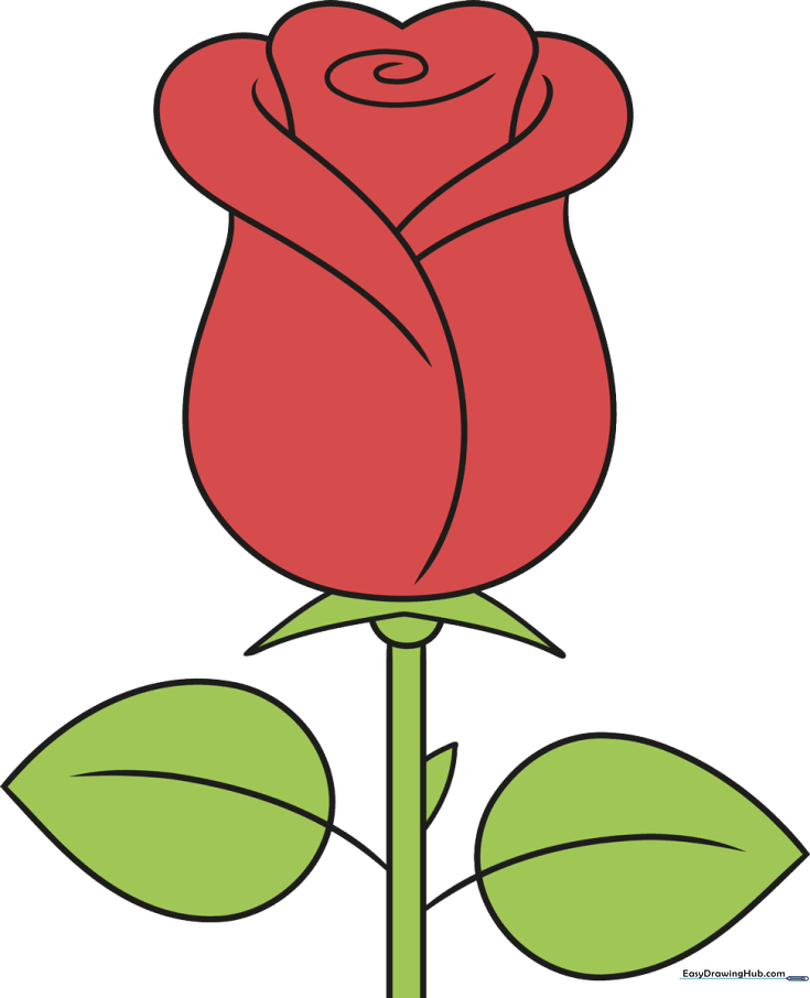 How to Draw a Simple Rose