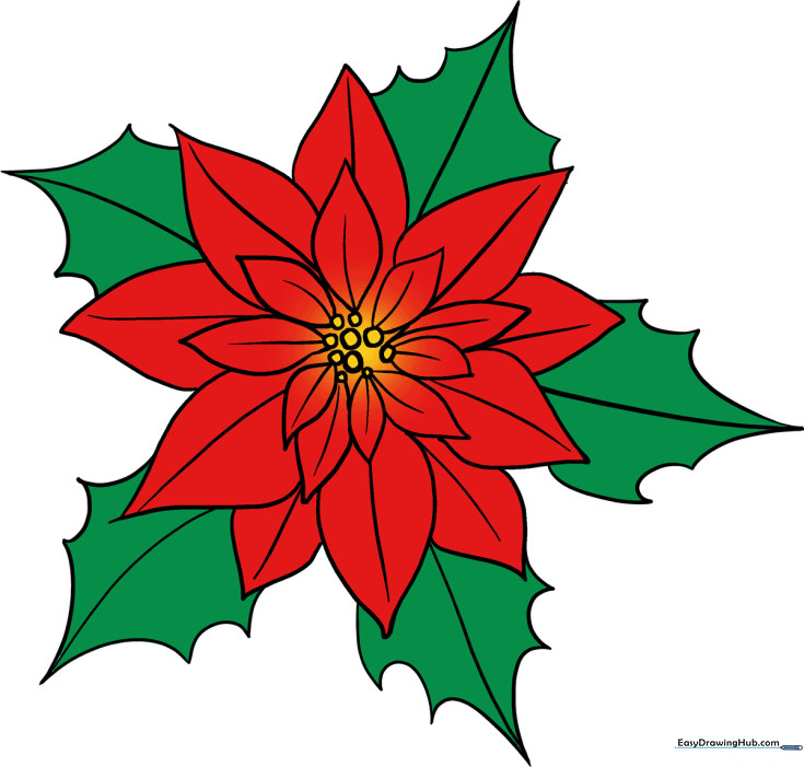 How to Draw a Poinsettia