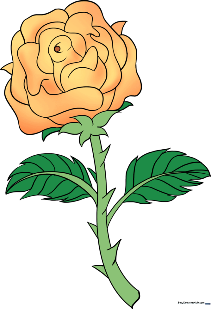 How to Draw a Rose with Stem