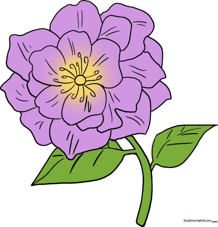 How to Draw a Peony