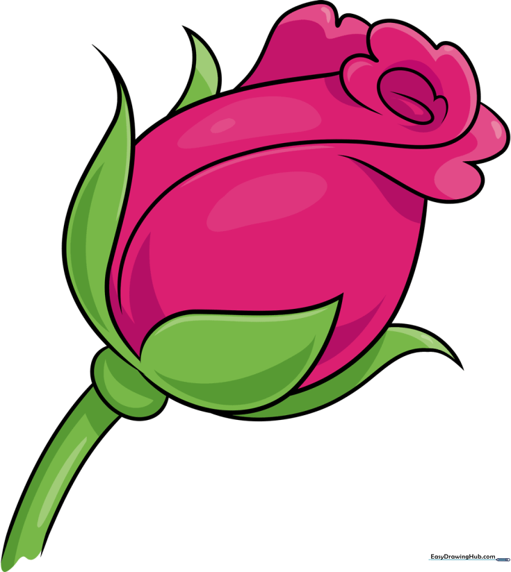 How to Draw a Rose Bud