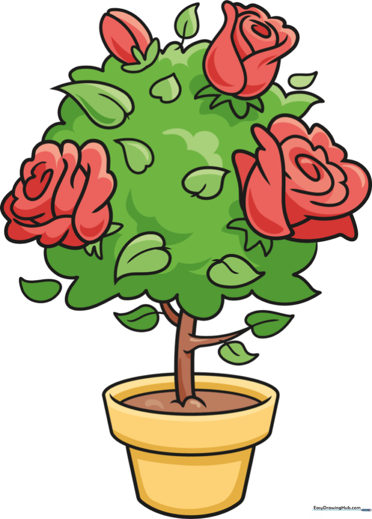 Rose Bush