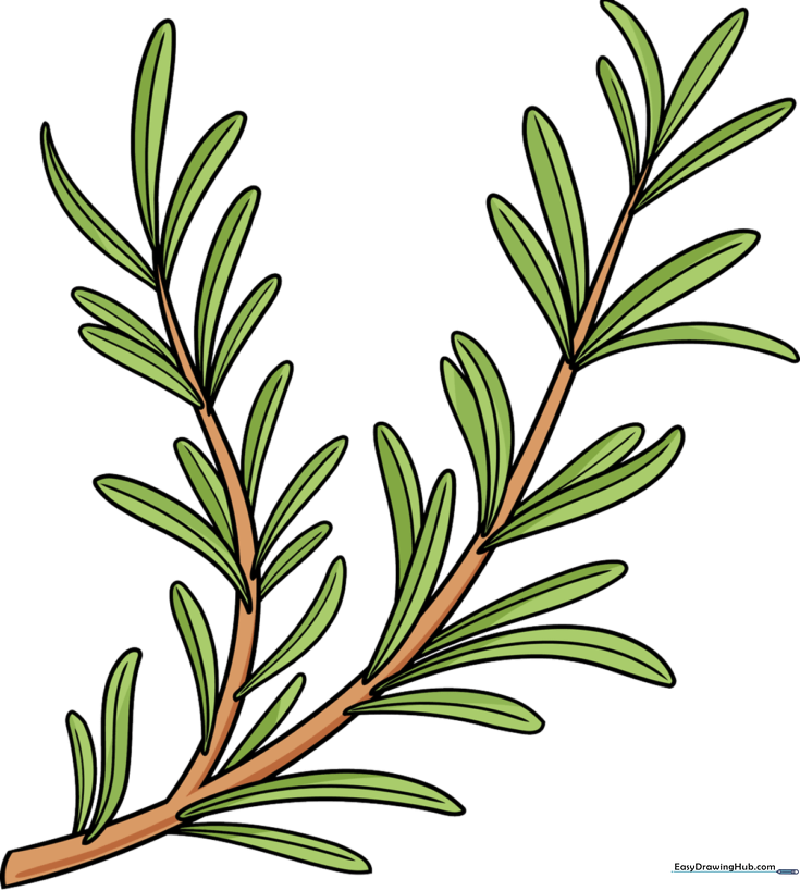 Rosemary