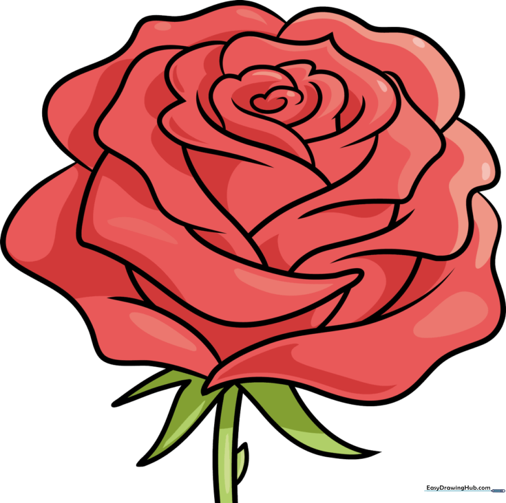 How to Draw a Rose Flower