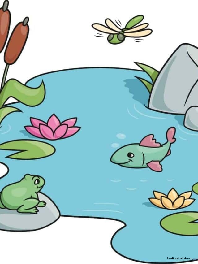 Pond