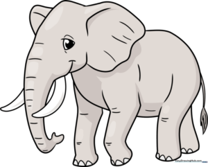 how to draw an elephant featured image