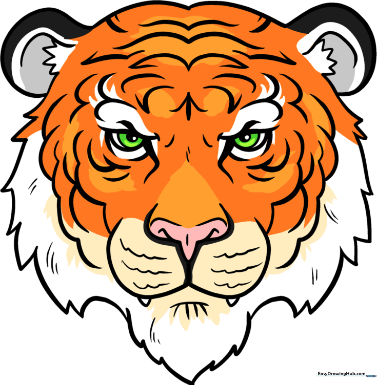 Tiger Face