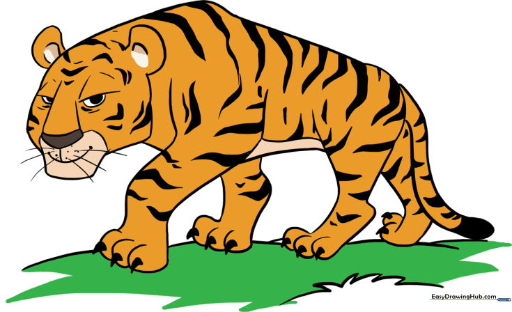 Cartoon Tiger