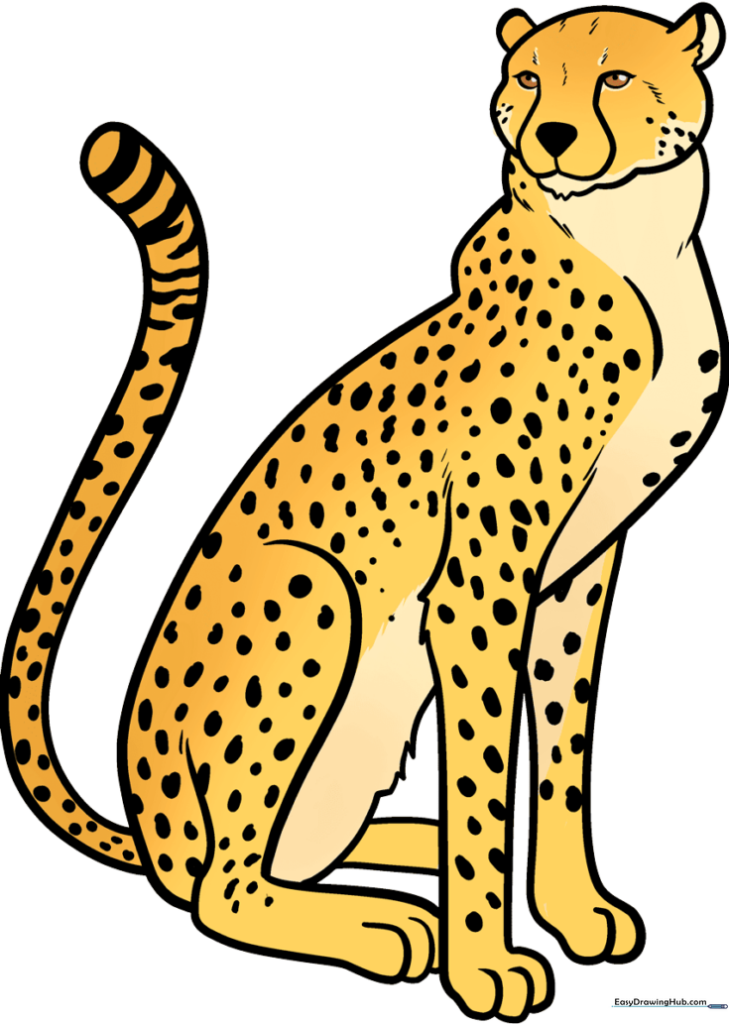 Cheetah