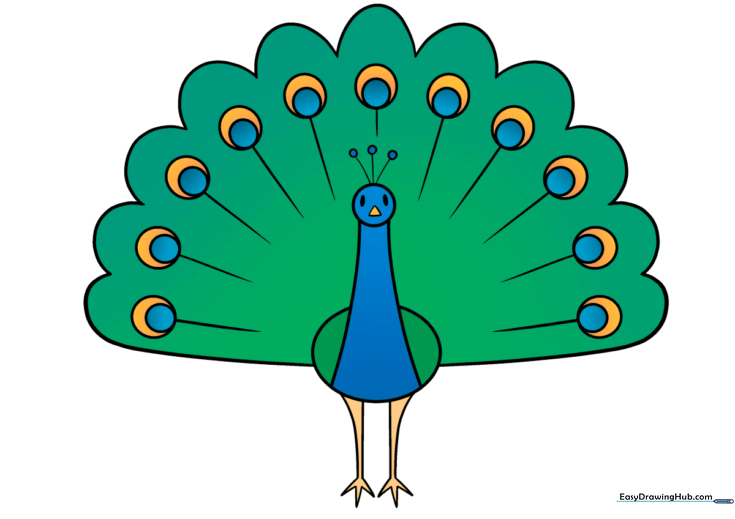 Peacock