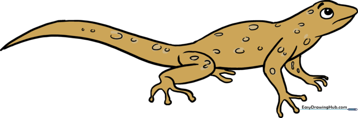 Lizard