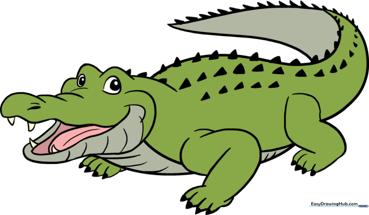 Alligator or Crocodile