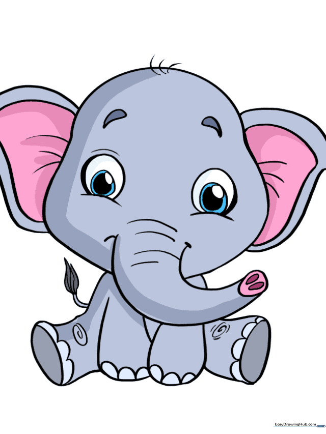 Baby Elephant