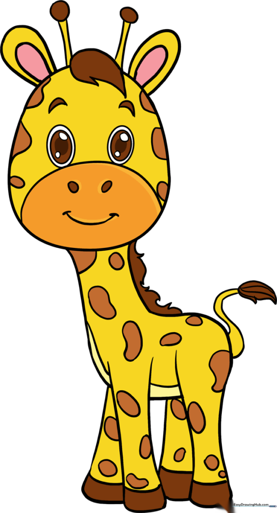 Baby Giraffe