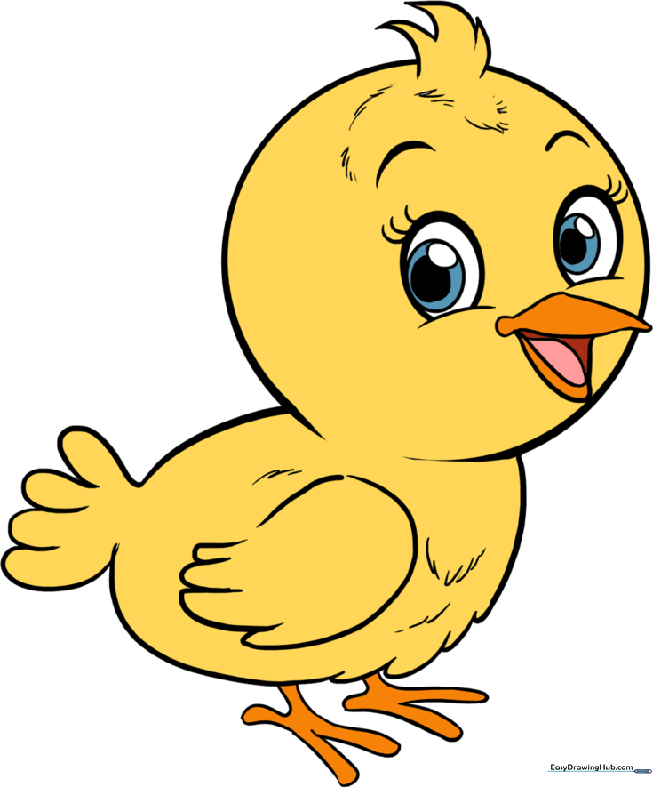 Baby Bird