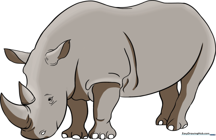 Rhino
