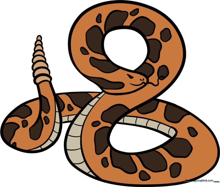 Rattlesnake