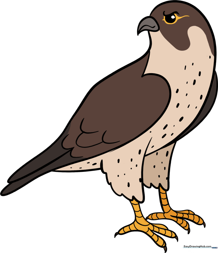 Falcon