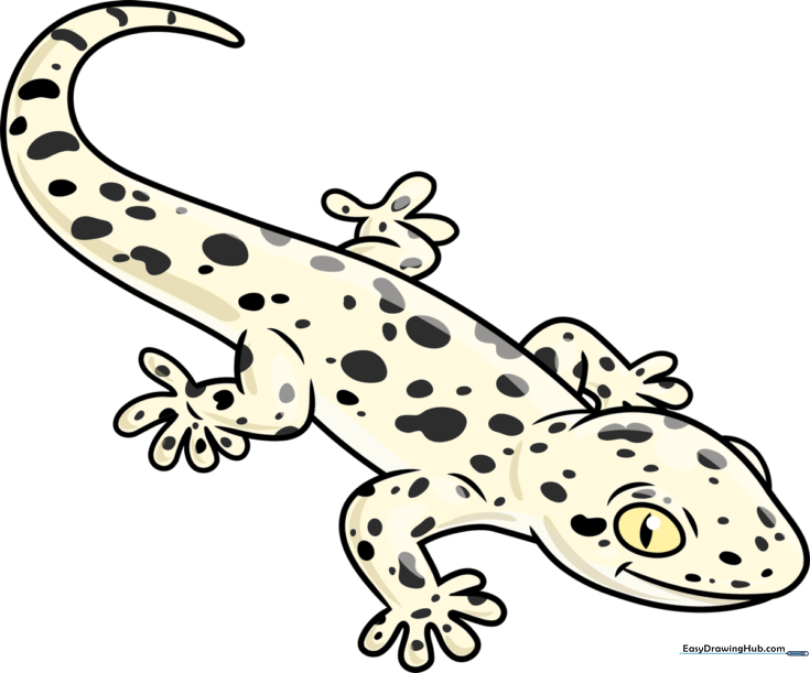 Gecko