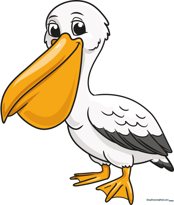 Pelican