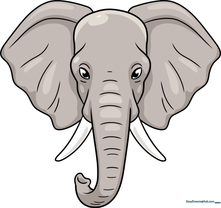 Realistic Elephant Head and Face