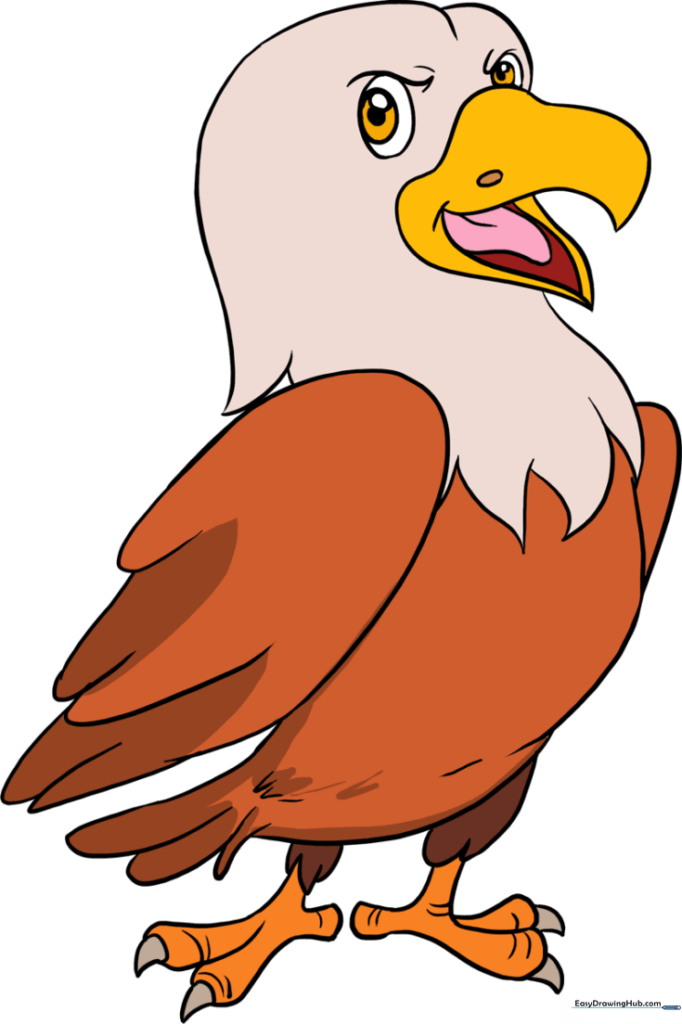 Cartoon Hawk