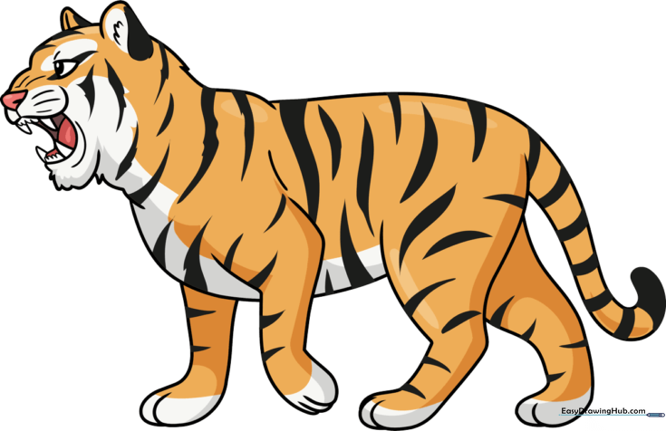 Tiger Roaring