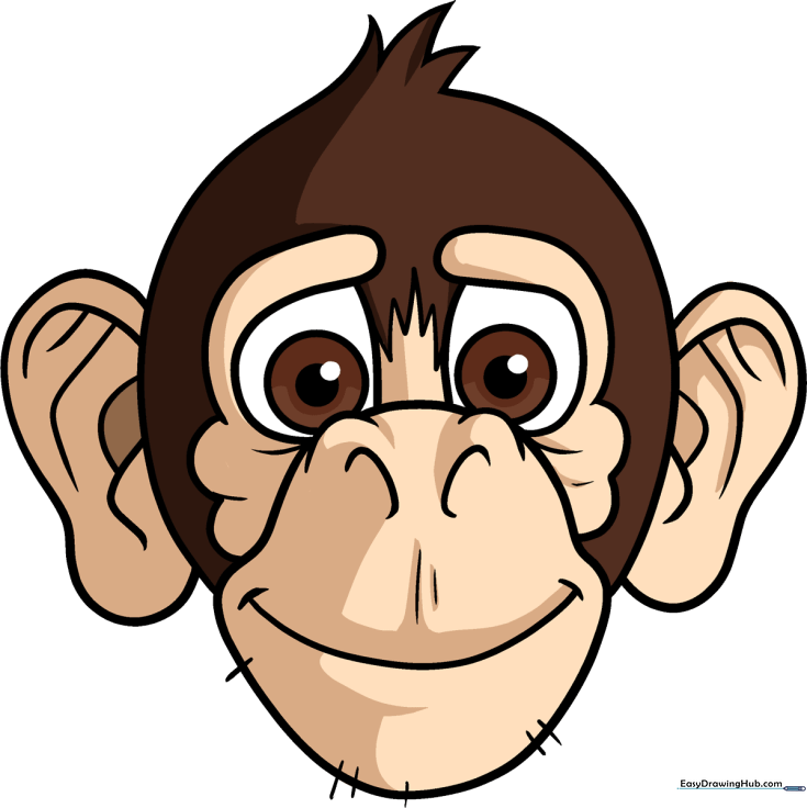 Monkey Face
