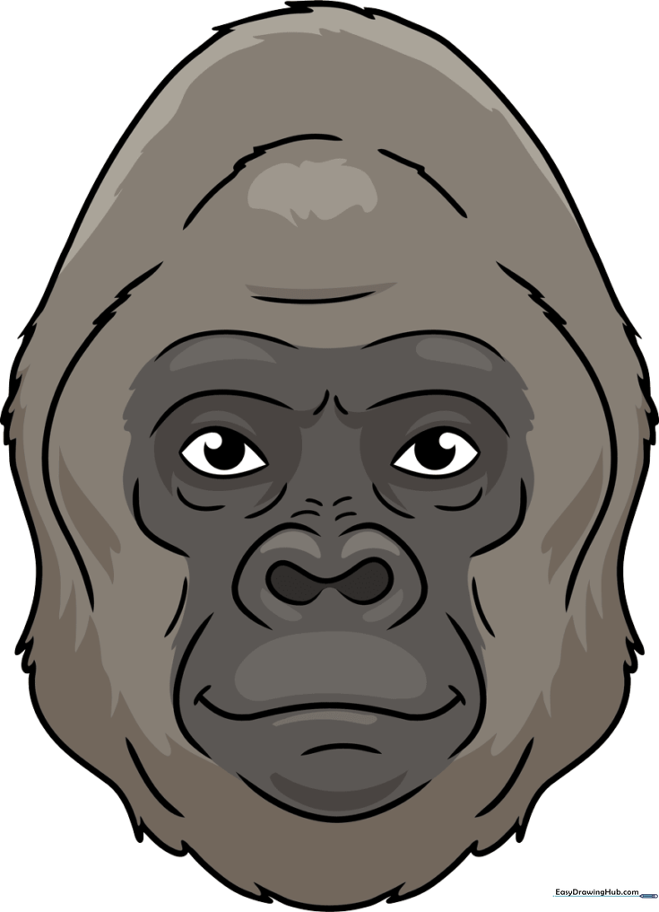 Gorilla Face