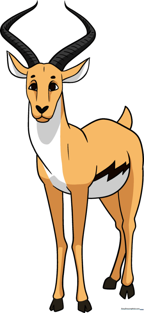 Antelope