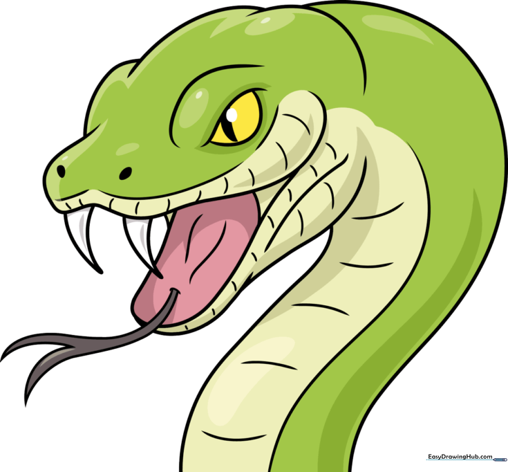 Snake Face and Head