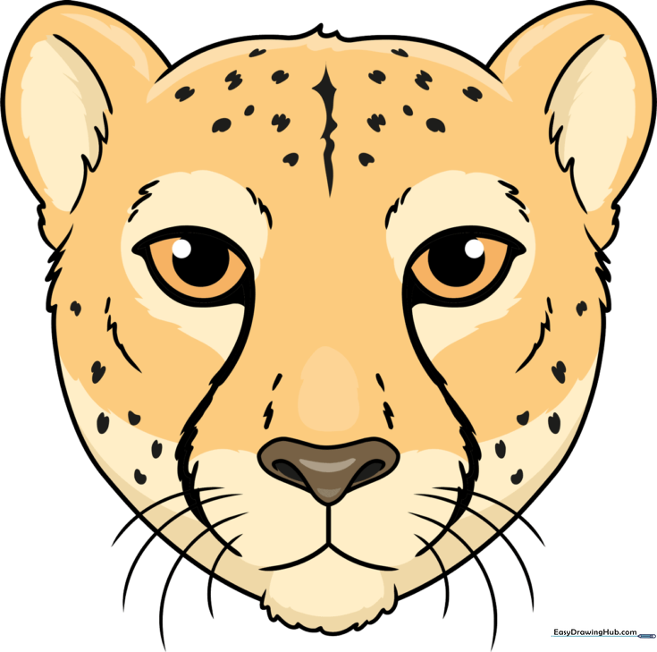 Cheetah Face