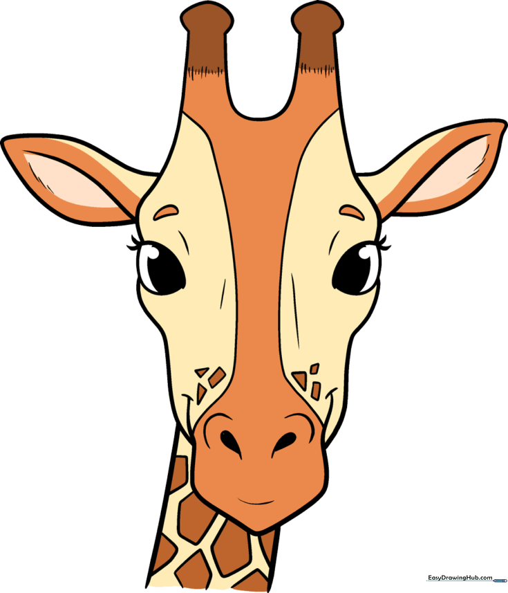 Giraffe Head and Face