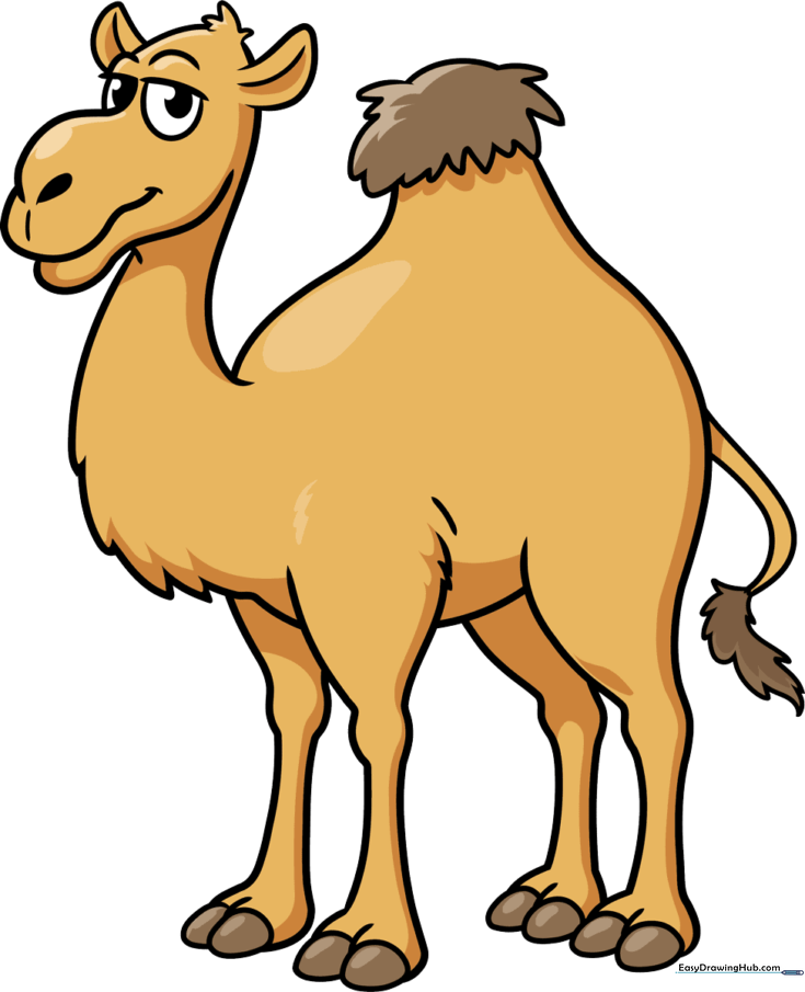 Cartoon Camel