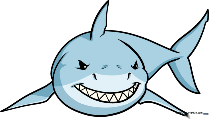 How to Draw a Cartoon Shark