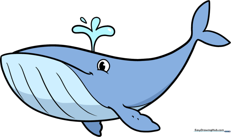 How to Draw a Whale