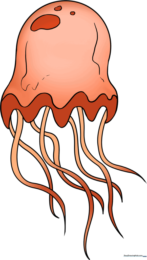 How to Draw a Jellyfish