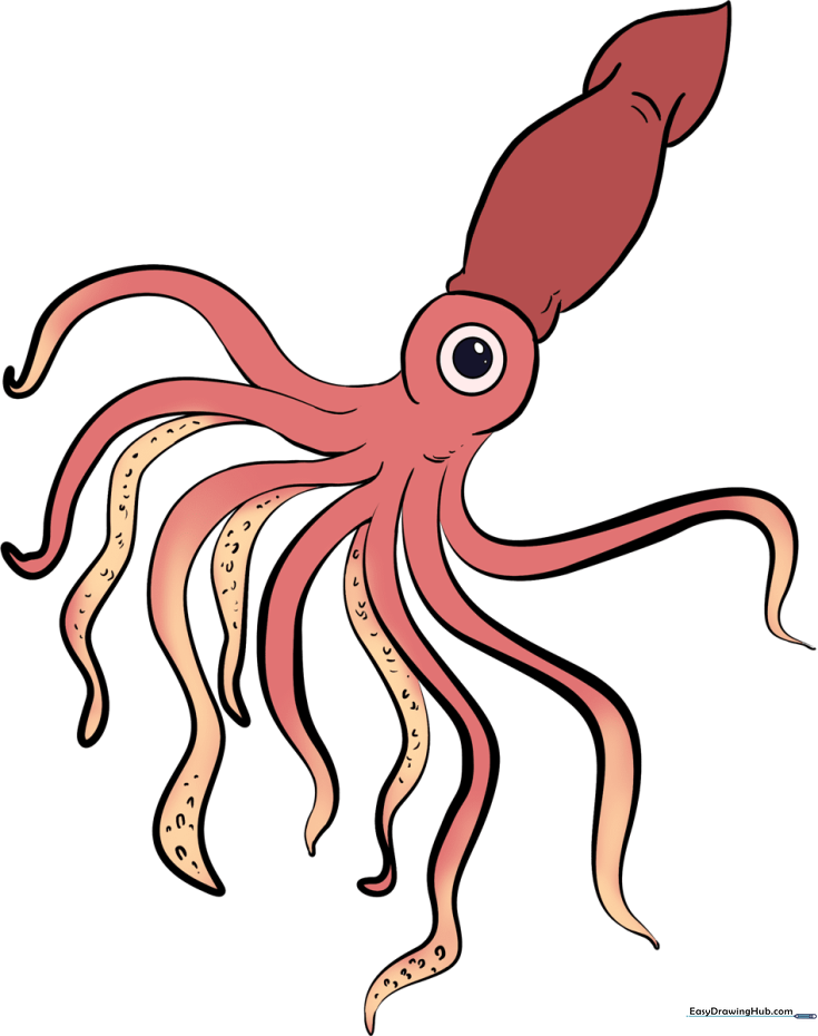 How to Draw a Squid