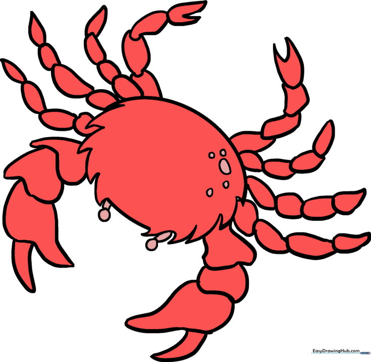 How to Draw a Crab